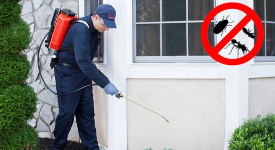 Eynesil Böcek İlaçlama böcek ilaçlama ve haşere kontrolü — ilaclama-tr.com